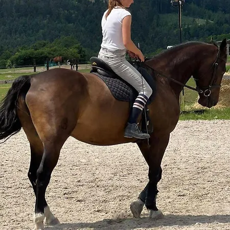 Jurtovna Luxusní stan *