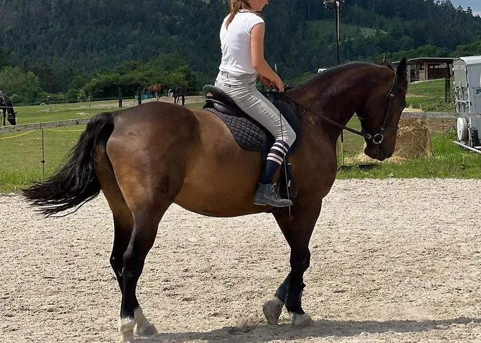 Jurtovna Luxury tent *